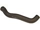 Corvette Radiator Hose Lower For Cars With 1965 396ci Or 1967 L88 Engine