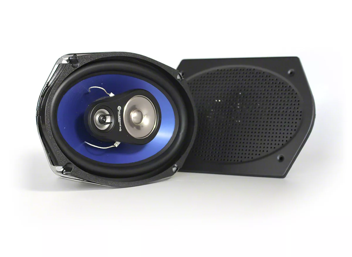 Custom Autosound Ecklers 6x9-Inch 3-Way Speakers with Flat