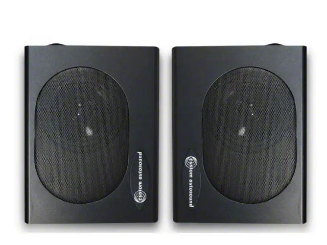 Custom Autosound Speaker - Undercover I