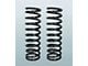 Eaton Detroit Springs Camaro Coupe Coil Springs, Front, HD, For Cars With Air Conditioning And V8 Engine 1981