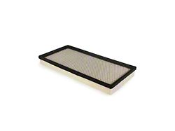 Air Filter (85-89 Corvette C4)