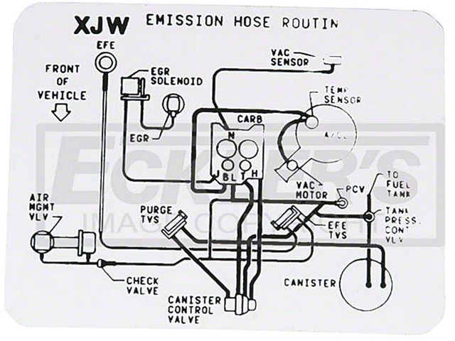 El Camino Emission Decal, 305 c.i. 5.0 Hose Routing, CodeXJW, 1984