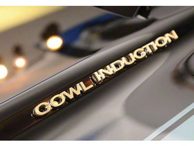 El Camino Hood Emblems Cowl Induction, 1970-1972