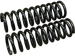 Rear Coil Springs Pair 