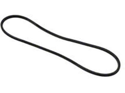 Water Pump Belt, 348 c.i. (1959 El Camino)