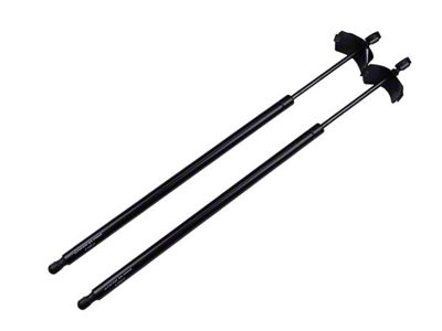 Firebird Carbon Fiber Rear Hatch Lift Support 1993-2002