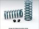 Firebird Coil Springs, Front, Lowering, Hotchkis, 1970-1981