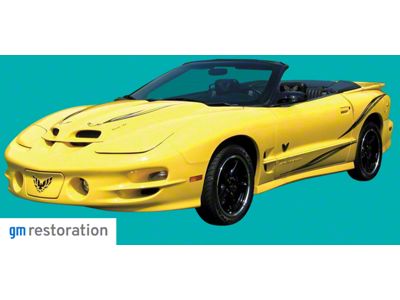 Collector Edition Stripe Kit; Multicolored (2002 Firebird)