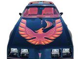 Firebird Decal Set, Five Color, Trans Am Turbo, 1980