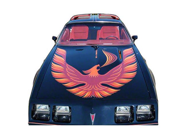 Firebird Decal Set, Five Color, Trans Am Turbo, 1980