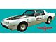 Firebird Decal Set, Silver, Trans Am, Turbo, Indy Pace Car,Ultimate Kit, 1980