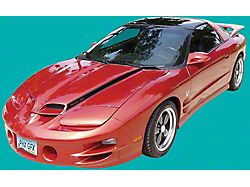 Firebird Decal Set, Trans Am, Gold, Ram Air On Hood 1998-2002 (Trans Am)