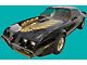 Firebird Decal Set, Trans Am, Special Edition, Ultimate Kit1978-1981