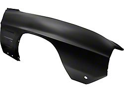 Fender, Right (1969 Firebird)