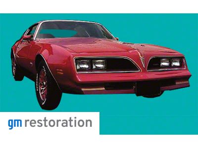 Lower Body Stripes; Light Gold (79-81 Firebird)