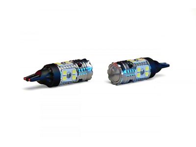 Revive LED Bulbs; White; 921