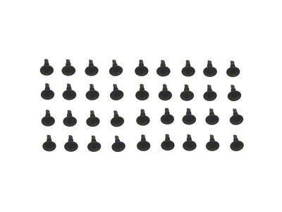Roof Rail Weatherstrip Channel Screw Kit; 36-Pieces (70-81 Firebird)