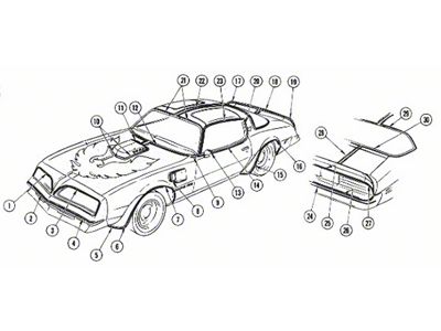 Special Edition Striping Kit; Gold (76-81 Firebird)