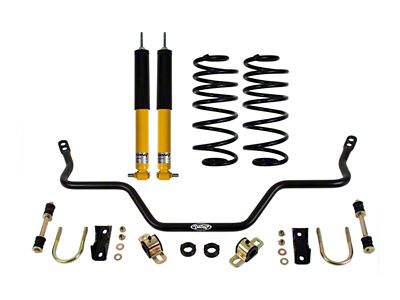 Detroit Speed Rear Suspension Speed Kit 1 (82-92 Firebird)