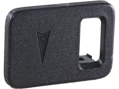 Firebird Traction Control Switch Panel With Logo, Ebony, 2000-2002