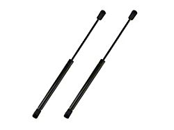 Trunk Lift Supports (94-02 Firebird Convertible)