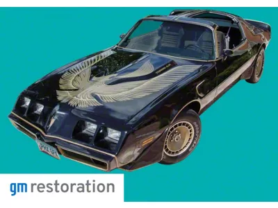 Turbo Special Edition Ultimate Stripe Kit; Light Gold/Dark Gold/Clear (1981 Firebird)