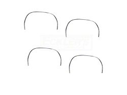 Wheel Well Molding Kit (1969 Firebird)