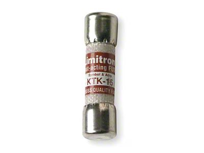 Fluke 15 Amp/600V Fuse