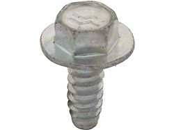 License Plate Screw Set, 4-Piece (68-70 Fairlane)