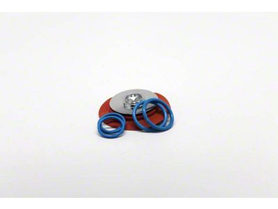 Fuelab Diaphragm and O-Ring Kit for 515xx and 525xx Series Regulators; Standard Seat (Universal; Some Adaptation May Be Required)
