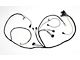 Full Size Chevy Engine Wiring Harness, 6-Cylinder, For CarsWith Manual Transmission, 1971