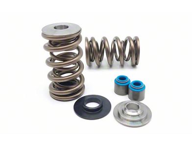 Kelford Cams PAC Dual 1204X Valve Spring Kit (98-02 5.7L Firebird)