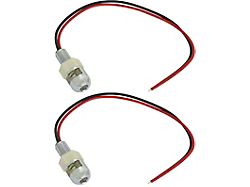 License Plate Mounting Bolts With White LEDs - Polished Stainless Steel Housings - 12 Volt