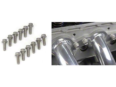 LS Stainless Header Bolts, Set of 12