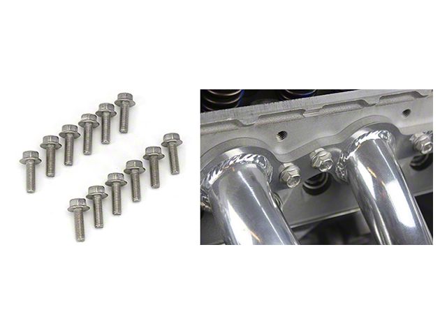 LS Stainless Header Bolts, Set of 12