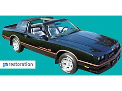 SS Stripe Kit; Black/Silver (85-86 Monte Carlo)