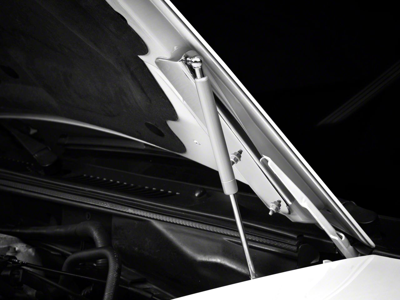 Monte Carlo Hood Struts