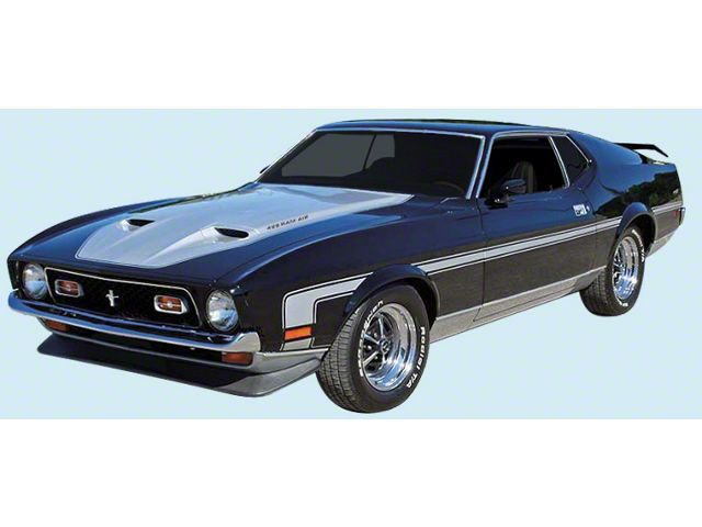 Silver 71 Racing Ecklers Rally Stripe Kit; Silver (71-73 Mustang Mach 1)