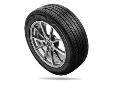 Nexen Roadian GTX Tire (30" - 245/50R20)