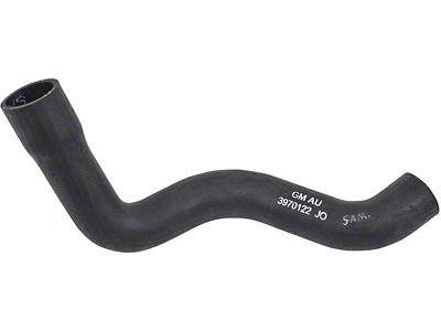1970-1981 Camaro Lower Radiator Hose; Small Block