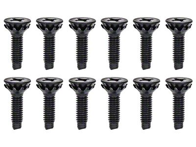 1967 Camaro Door Hinge Screw Set; 12 Piece Set