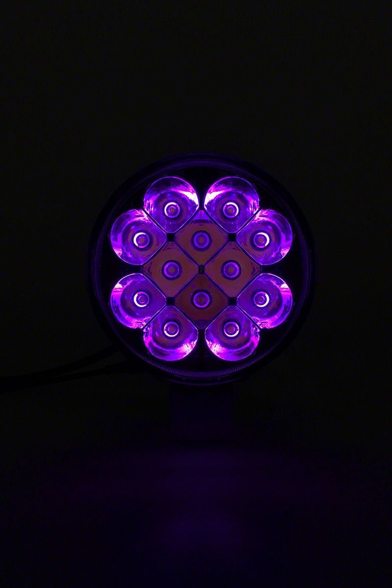 Quake LED Ecklers Tempest Quad-Lock/Interlock LED Headlight with RGB ...