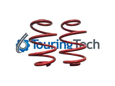 Touring Tech Performance Series Rear Lowering Springs; 4-Inch (63-87 C10)
