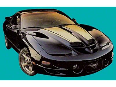 Trans Am Ram Air Stripe Kit, Thirtieth Anniversary Style, Without Birds, Hardtop, 1998-2002 (Trans Am)