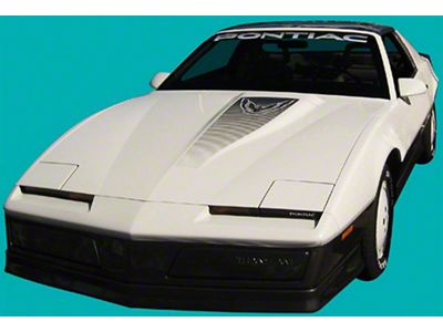 Trans Am Stripe Kit With Molded Stripes, 1983