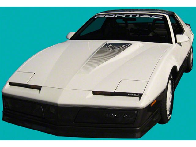 Trans Am Stripe Kit With Molded Stripes, 1983