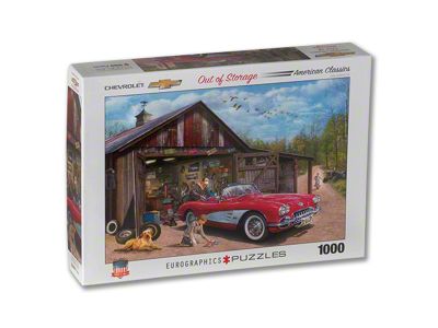 Out of Storage Puzzle; 1000-Pieces
