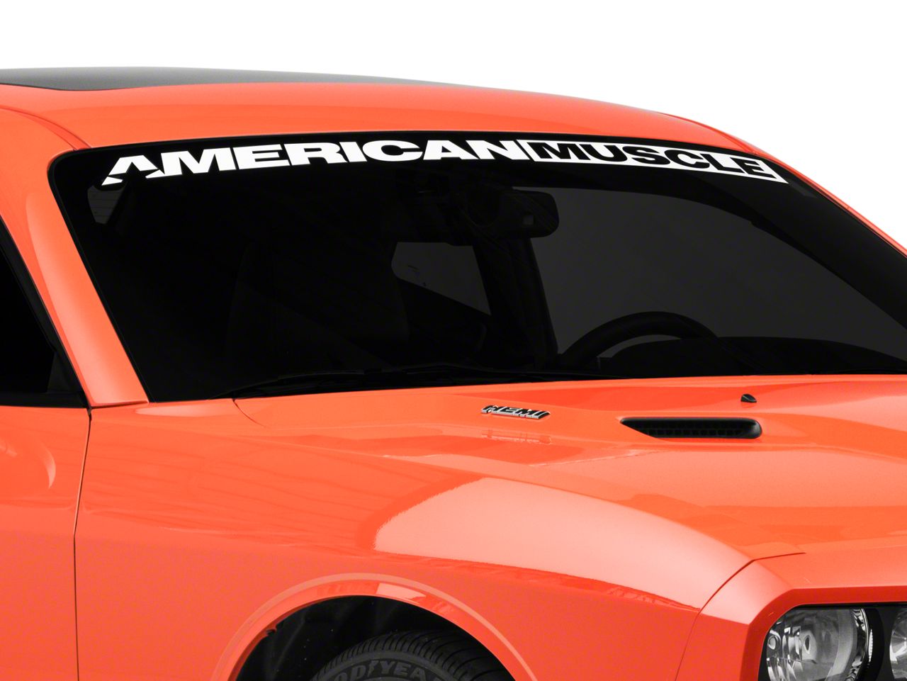 Firebird Window Banners & Decals